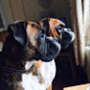 Meet your Posher, Deanna